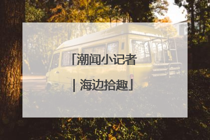 潮闻小记者｜海边拾趣