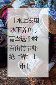 水上发电水下养鱼，青岛这个村百亩竹节虾抢“鲜”上市