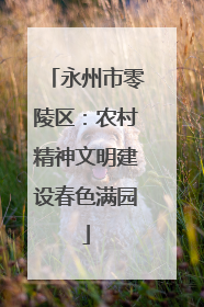 永州市零陵区：农村精神文明建设春色满园