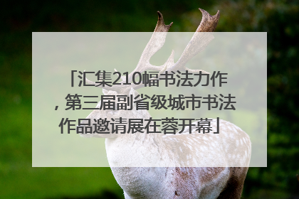 汇集210幅书法力作，第三届副省级城市书法作品邀请展在蓉开幕