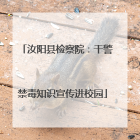 汝阳县检察院：干警禁毒知识宣传进校园