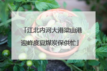 江北内河大港梁山港迎峰度夏煤炭保供忙