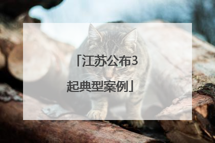 江苏公布3起典型案例