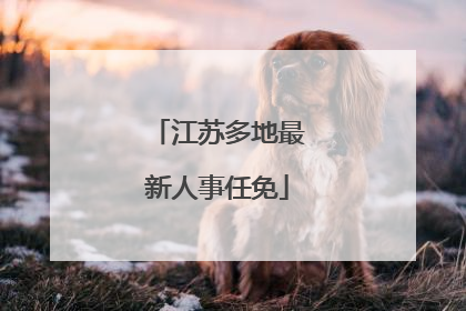 江苏多地最新人事任免