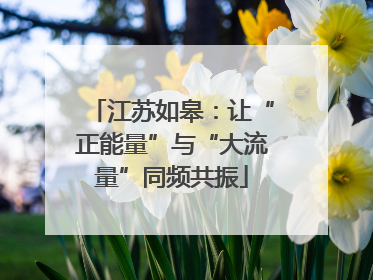 江苏如皋：让“正能量”与“大流量”同频共振