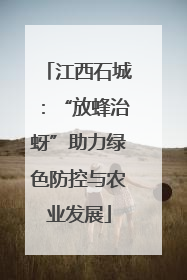 江西石城：“放蜂治蚜”助力绿色防控与农业发展