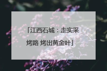 江西石城：走实采烤路 烤出黄金叶