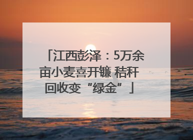 江西彭泽：5万余亩小麦喜开镰 秸秆回收变“绿金”