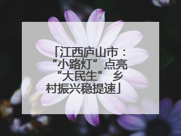江西庐山市：“小路灯”点亮“大民生” 乡村振兴稳提速