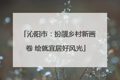 沁阳市：扮靓乡村新画卷 绘就宜居好风光