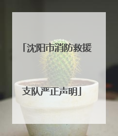 沈阳市消防救援支队严正声明