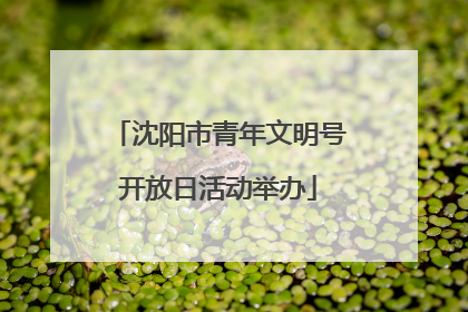 沈阳市青年文明号开放日活动举办