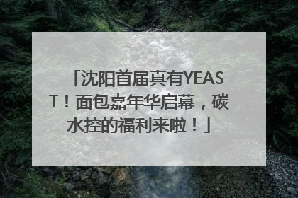 沈阳首届真有YEAST！面包嘉年华启幕，碳水控的福利来啦！