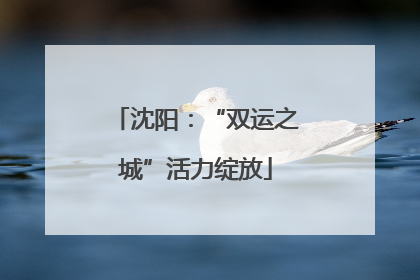 沈阳：“双运之城”活力绽放