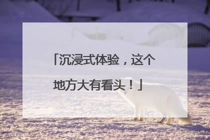 沉浸式体验，这个地方大有看头！