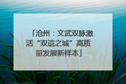沧州：文武双脉激活“双遗之城”高质量发展新样本