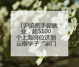 沪滇携手促就业，超5100个上海岗位送到云南学子“家门口”