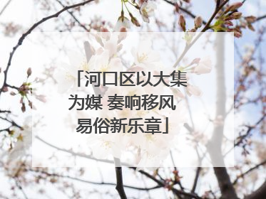 河口区以大集为媒 奏响移风易俗新乐章