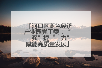 河口区蓝色经济产业园党工委：“三强”提“三力”赋能高质量发展