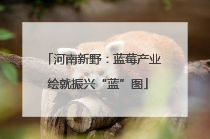 河南新野：蓝莓产业绘就振兴“蓝”图
