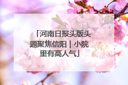 河南日报头版头题聚焦信阳｜小院里有高人气