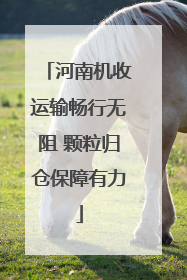 河南机收运输畅行无阻 颗粒归仓保障有力
