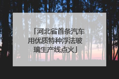 河北省首条汽车用优质特种浮法玻璃生产线点火