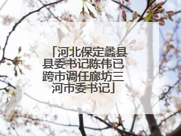 河北保定蠡县县委书记陈伟已跨市调任廊坊三河市委书记