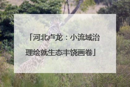 河北卢龙：小流域治理绘就生态丰饶画卷