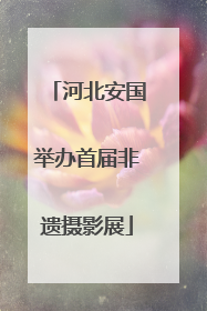 河北安国举办首届非遗摄影展