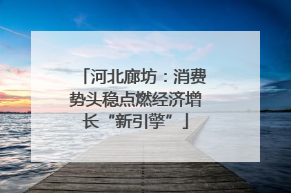 河北廊坊：消费势头稳点燃经济增长“新引擎”