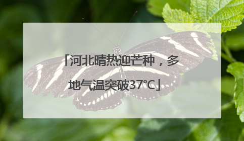 河北晴热迎芒种，多地气温突破37℃