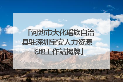 河池市大化瑶族自治县驻深圳宝安人力资源飞地工作站揭牌