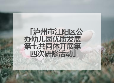 泸州市江阳区公办幼儿园优质发展第七共同体开展第四次研修活动