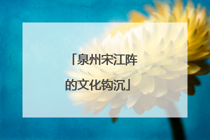 泉州宋江阵的文化钩沉