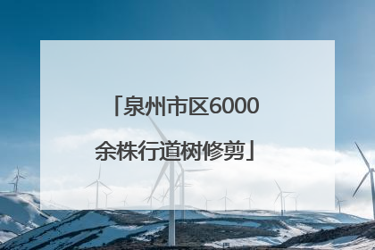 泉州市区6000余株行道树修剪
