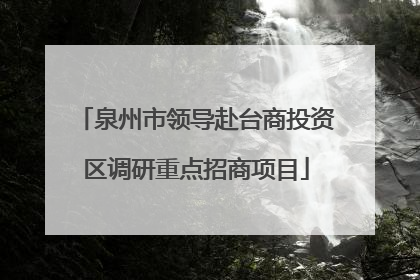 泉州市领导赴台商投资区调研重点招商项目
