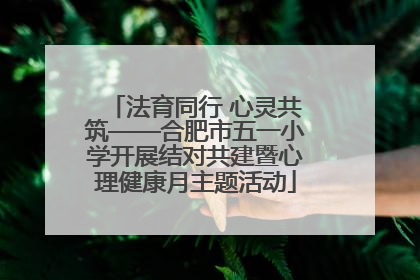 法育同行 心灵共筑——合肥市五一小学开展结对共建暨心理健康月主题活动
