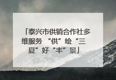 泰兴市供销合作社多维服务 “供”绘“三夏”好“丰”景
