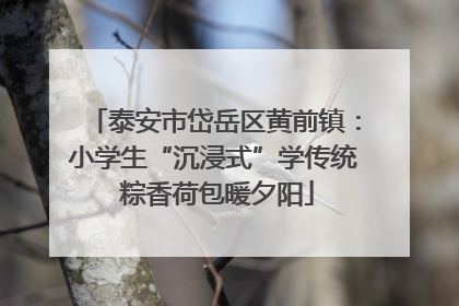 泰安市岱岳区黄前镇：小学生“沉浸式”学传统 粽香荷包暖夕阳
