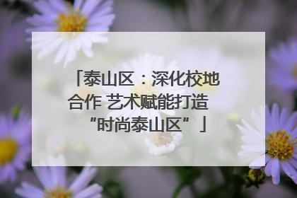 泰山区：深化校地合作 艺术赋能打造“时尚泰山区”