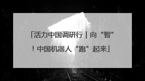 活力中国调研行｜向“智”！中国机器人“跑”起来