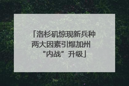 洛杉矶惊现新兵种 两大因素引爆加州“内战”升级
