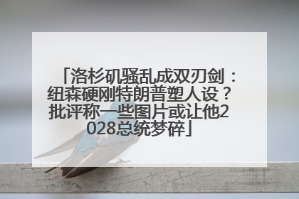 洛杉矶骚乱成双刃剑：纽森硬刚特朗普塑人设？批评称一些图片或让他2028总统梦碎