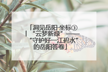 洞见岳阳·坐标③丨“云梦新绿”——“守护好一江碧水”的岳阳答卷