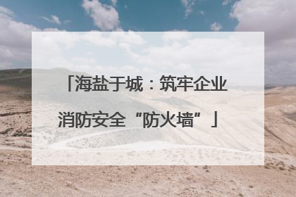 海盐于城：筑牢企业消防安全“防火墙”