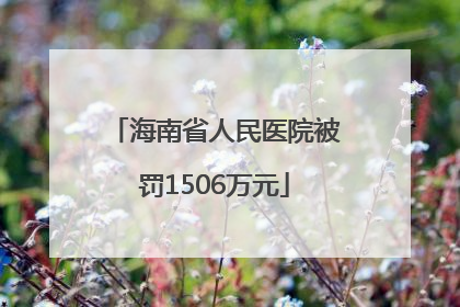 海南省人民医院被罚1506万元