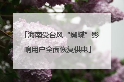 海南受台风“蝴蝶”影响用户全面恢复供电