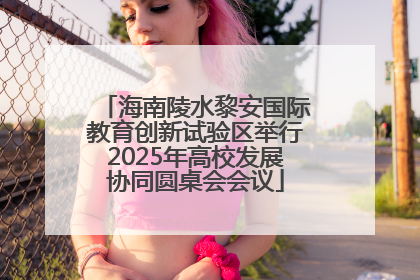 海南陵水黎安国际教育创新试验区举行2025年高校发展协同圆桌会会议