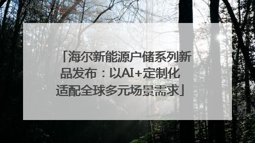 海尔新能源户储系列新品发布：以AI+定制化适配全球多元场景需求